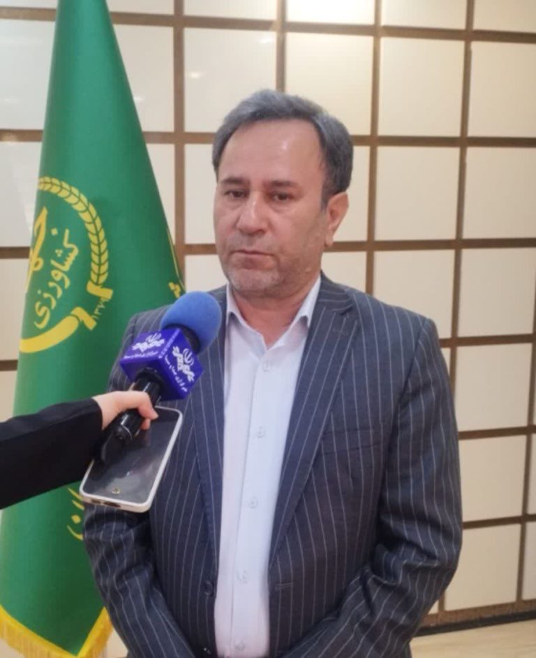 ۶۲۰ واحد پرورش مرغ گوشتی در استان در حال فعالیت هستند