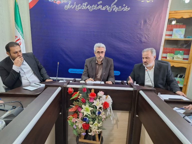 تاکید معاون اقتصادی استاندار لرستان بر تشدید نظارت و کنترل بازار/کشتار روزانه ۲۱۰ تن مرغ در لرستان