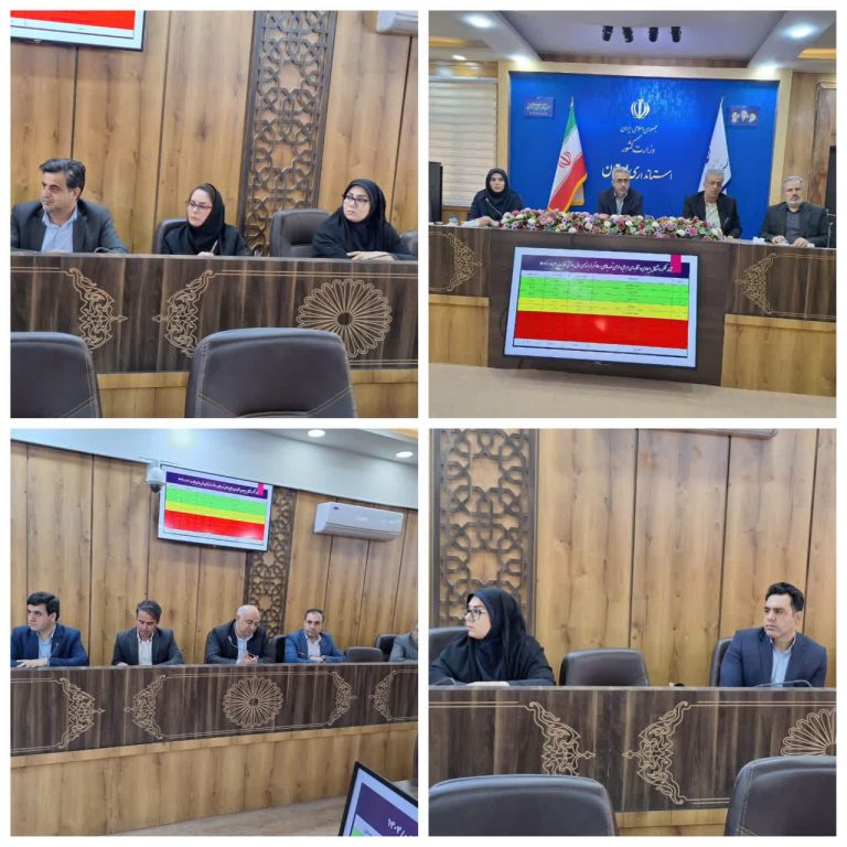 گامی تازه برای اشتغال زنان کار دلفان؛ بانوان در اولویت توسعه اقتصادی لرستان